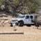 Jeep JT Mojave