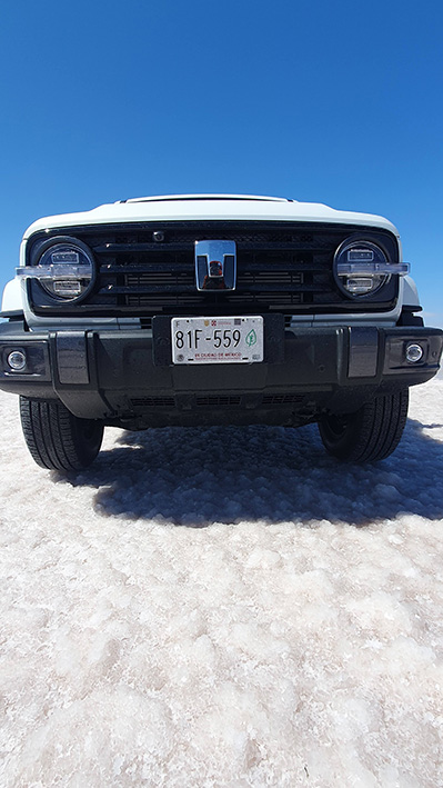 Tank 300