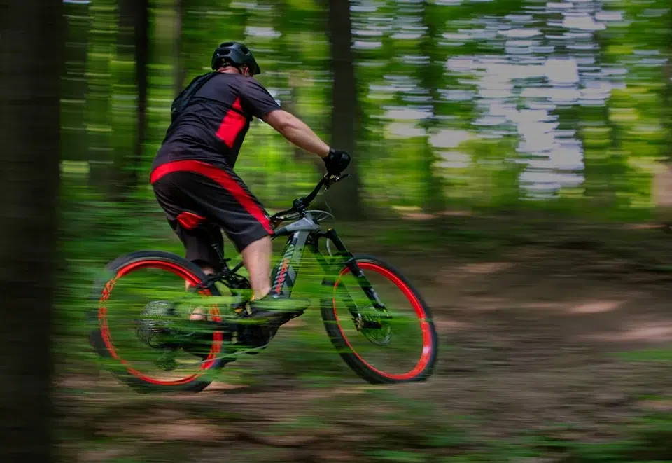 Audi eMTB 2.0
